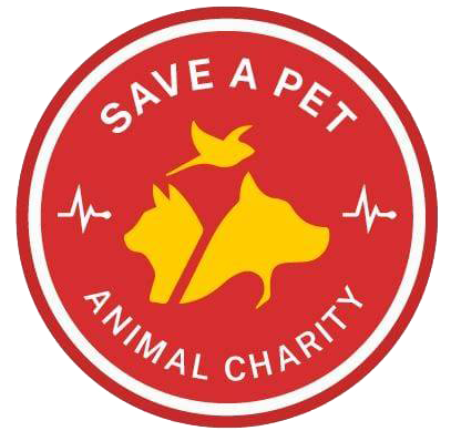 Save A Pet